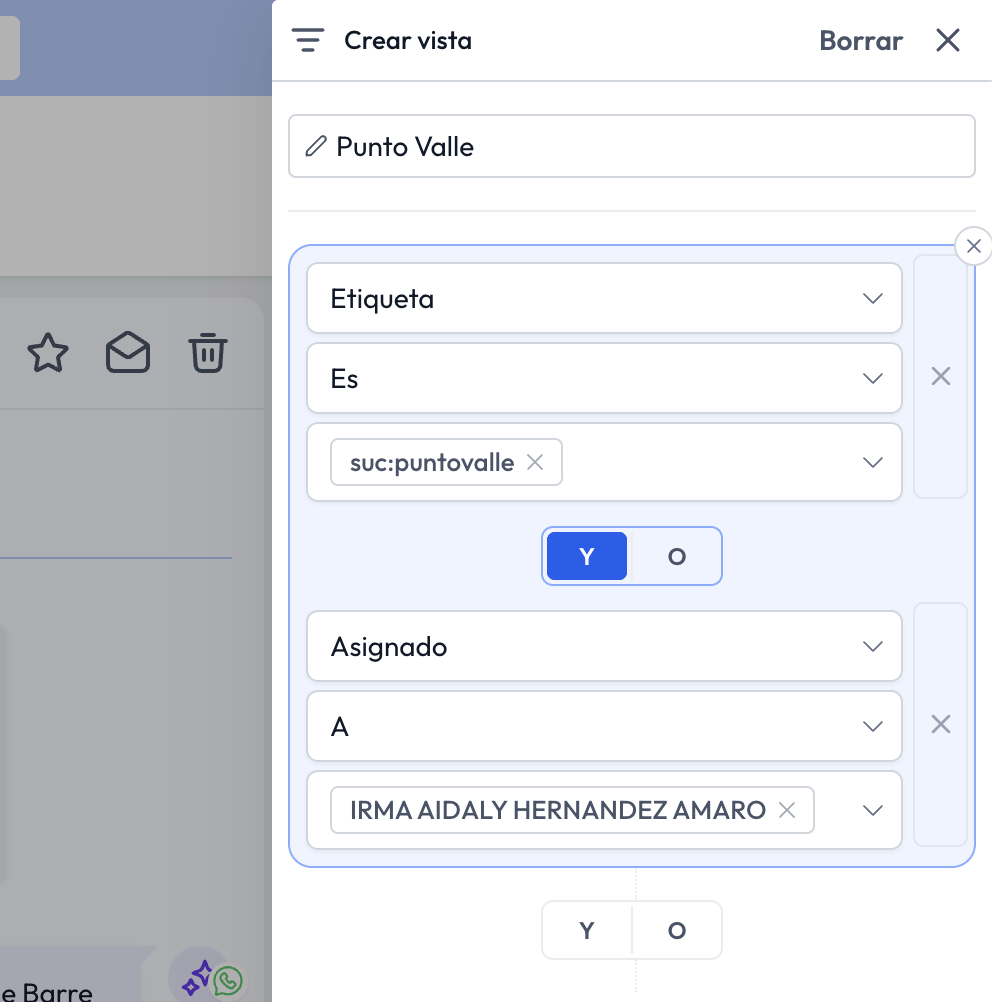 Paso 3: nombrar la vista y configurar filtros de etiqueta y asignado